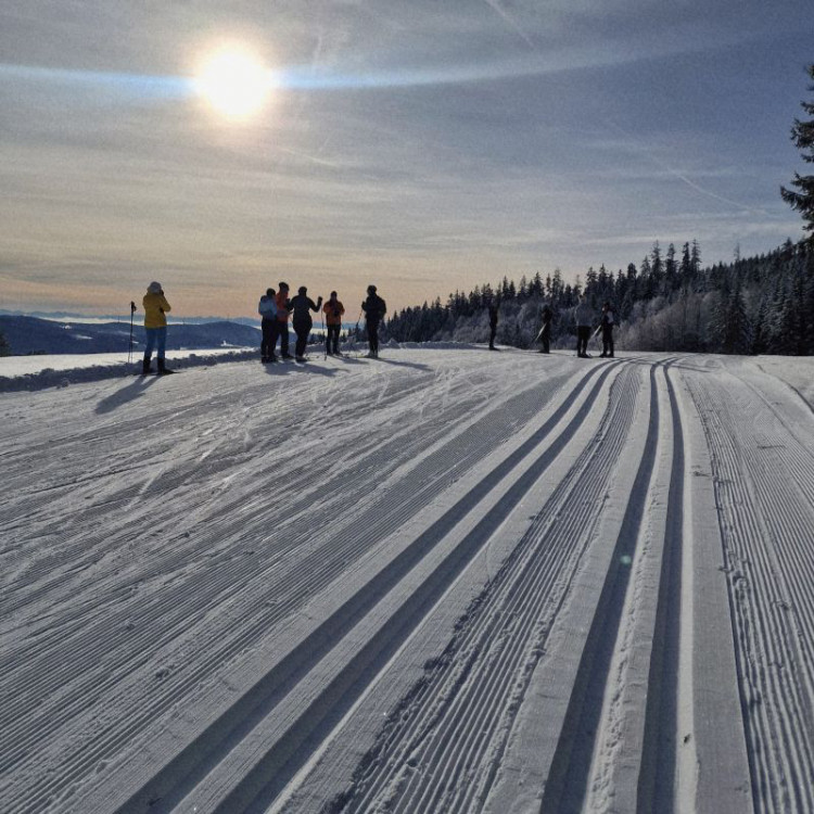 Dezemberträume Försterspur