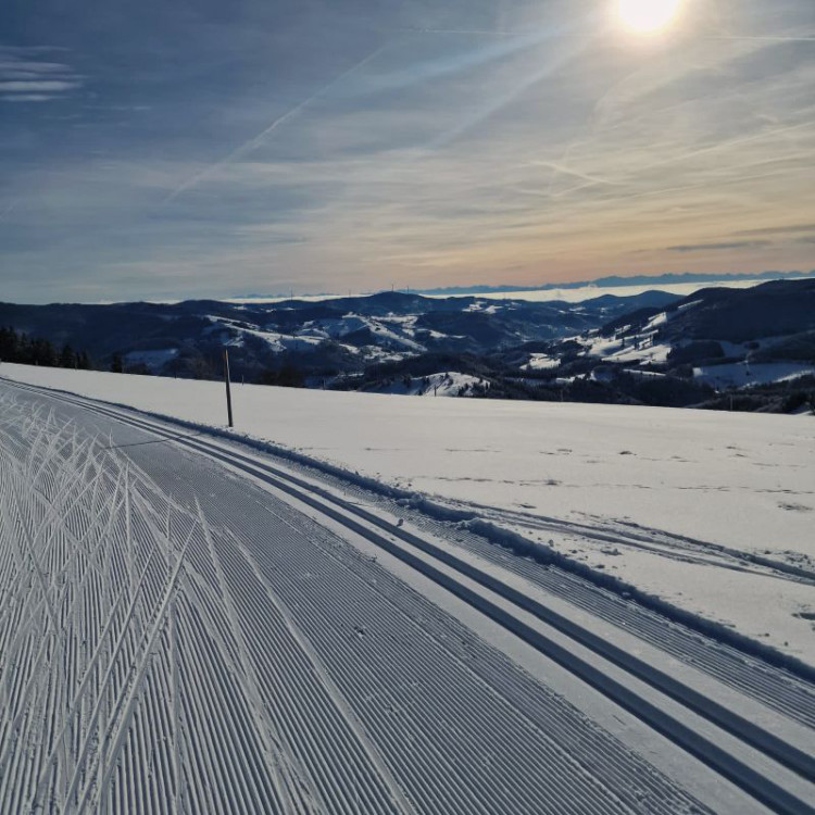 Tonispur mit Alpensicht